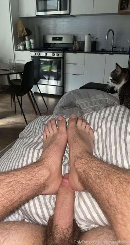 Do u like feet and cock?