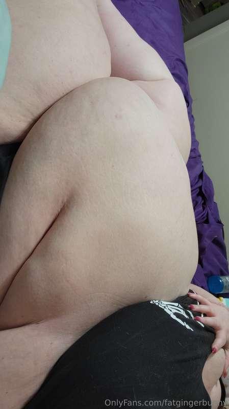 fatgingerbunny image #2