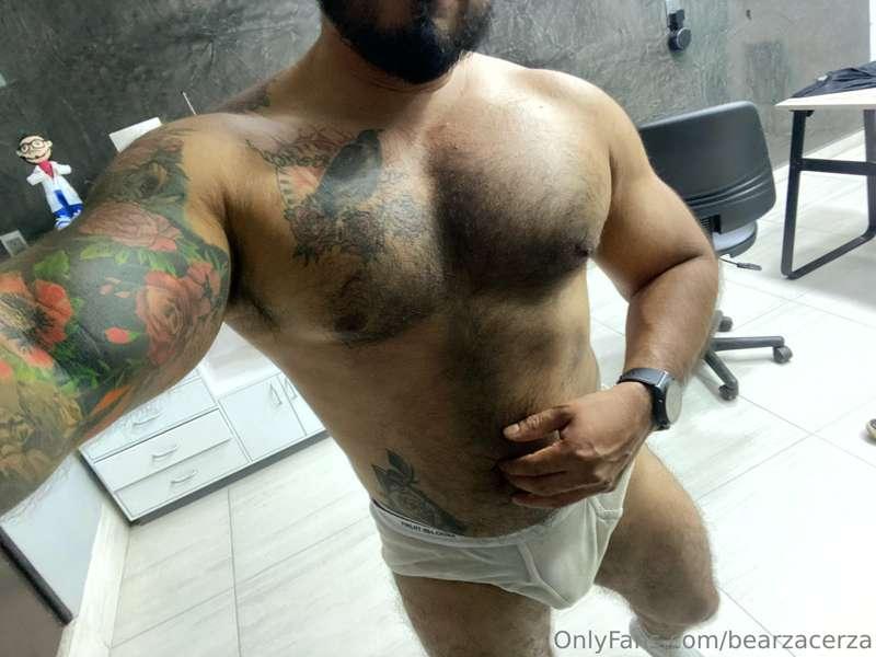 bearzacerza main image