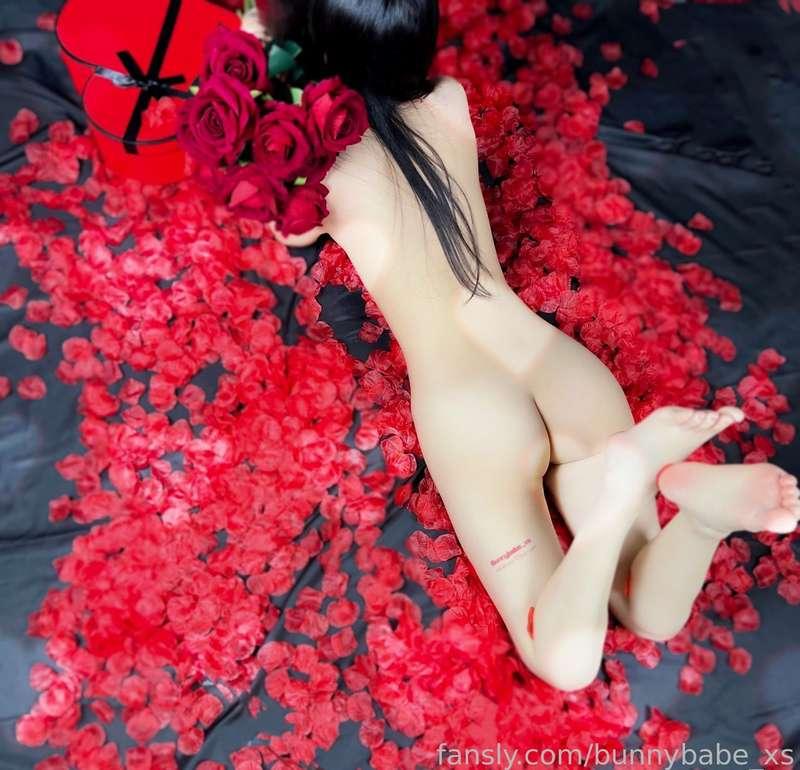 bunnybabe_xs image #3