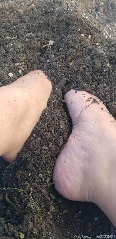 Just chillin in garden. Want to help me?