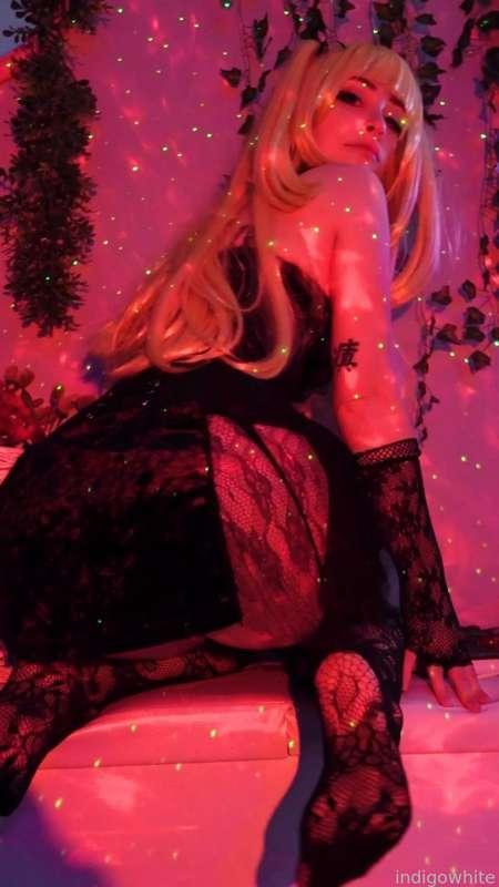 indigowhite image #93