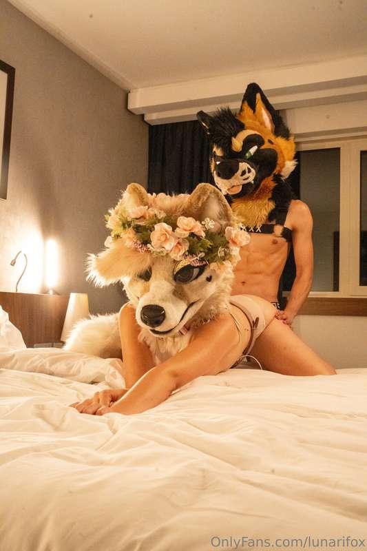 I love police dogs 🐕🥵

Hey lovies!

I’m in a nasty situation..