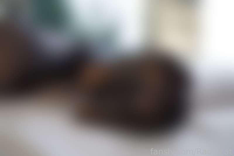 radiocat image #2