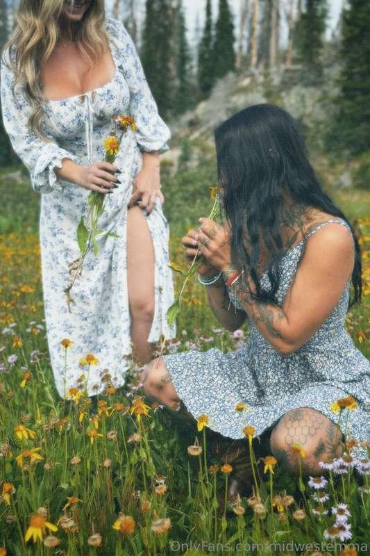 🌷🌼🌻🪻