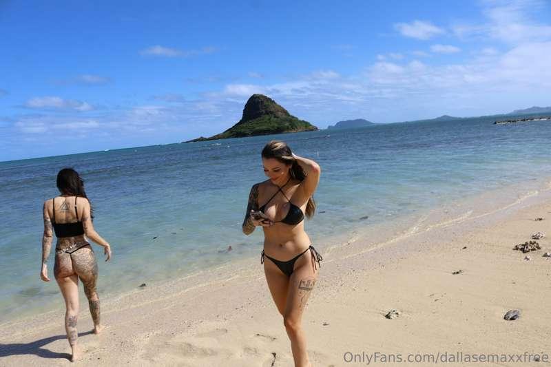 dallasemaxxfree image #2