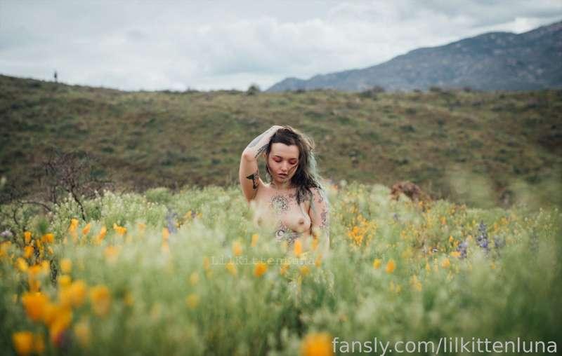 among the wildflowers 🌾