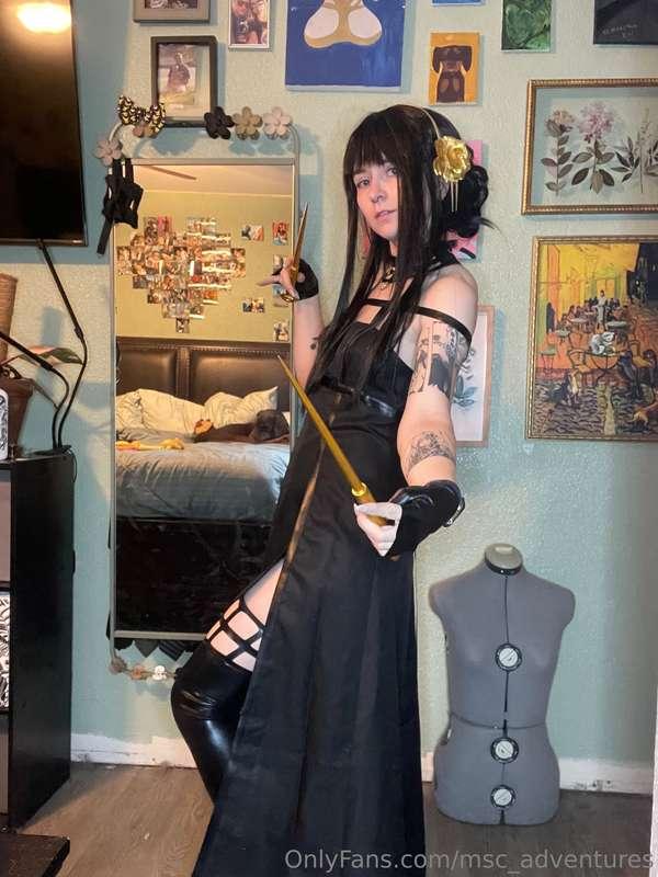 msc_adventures image #0