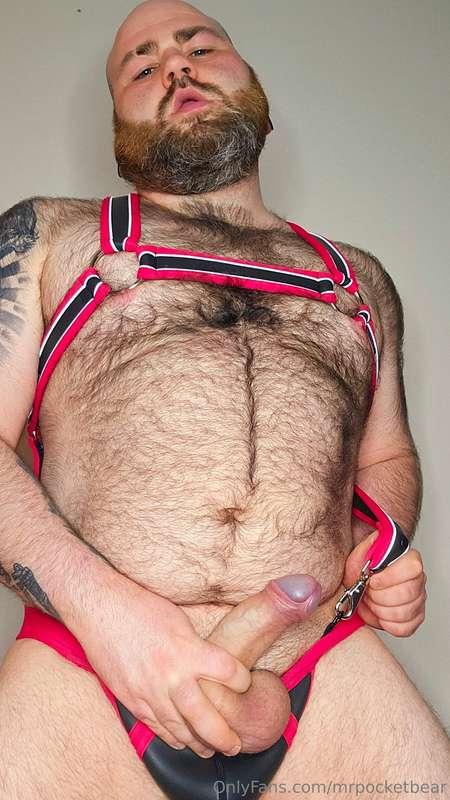 mrpocketbear image #8