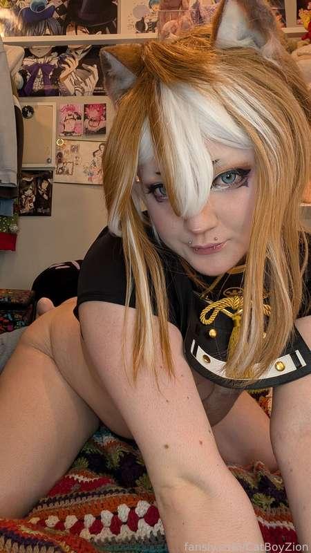catboyzion image #2