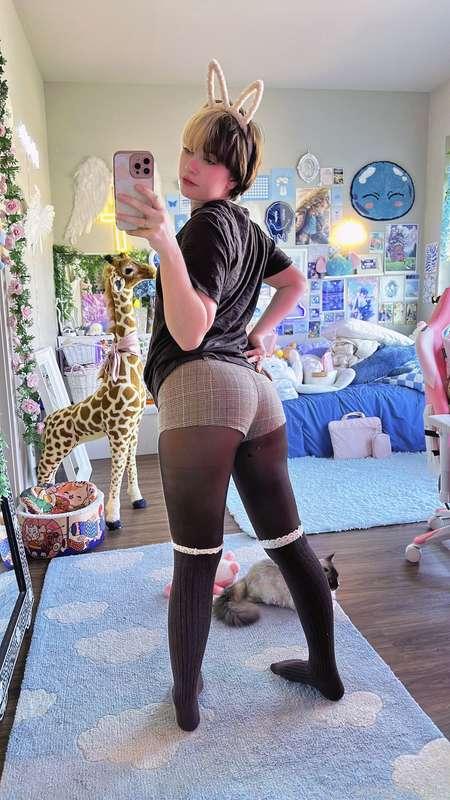 indigowhite image #10