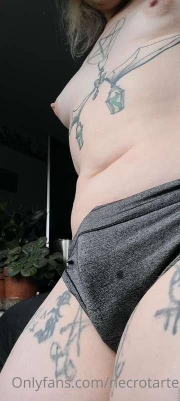 latrodectushex image #25