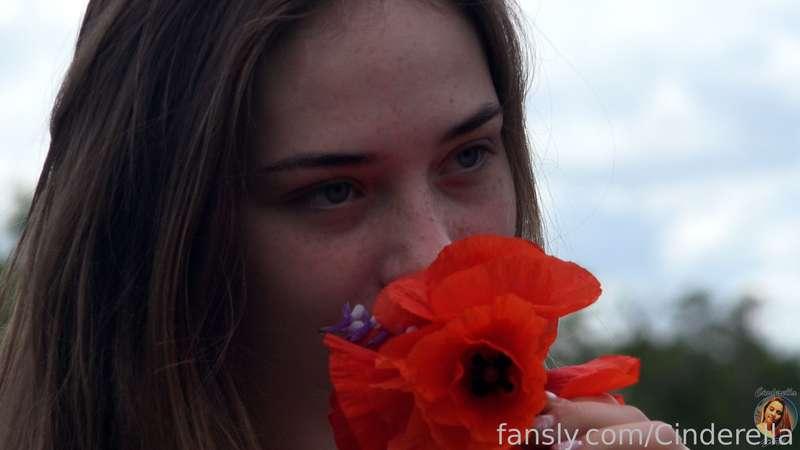 cinderellastory image #15