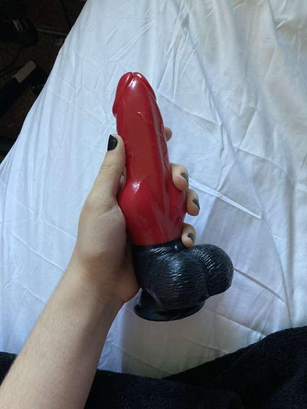 someone kindly bought me this new toy! if u wanna see me use..