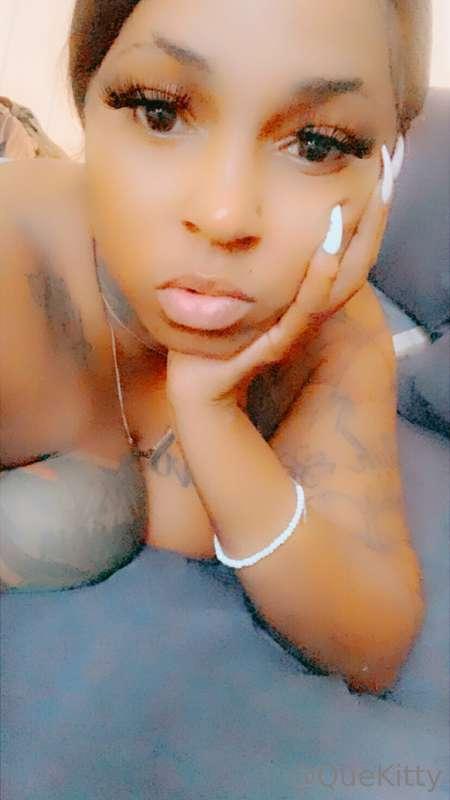 hereqittyqitty main image