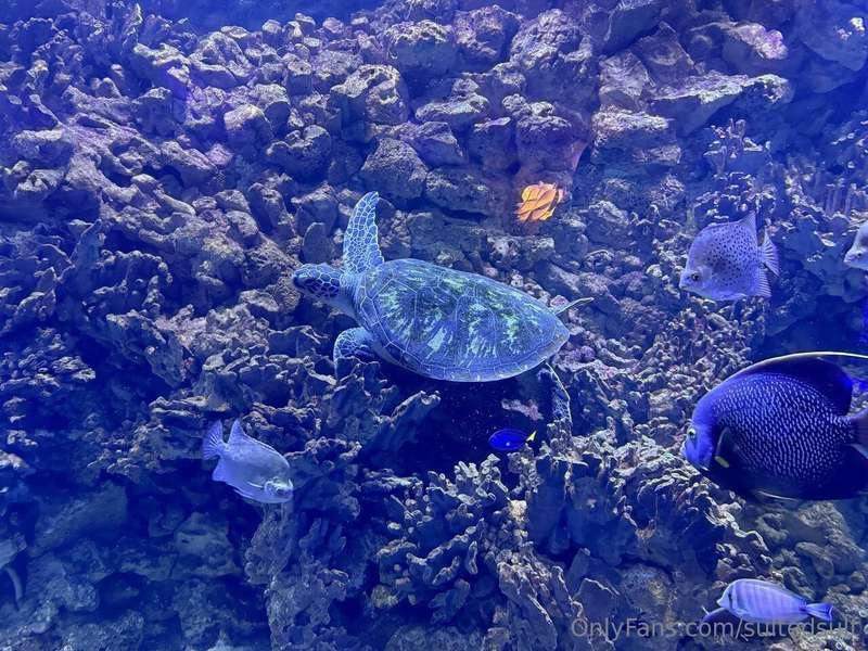 on the second day of our trip, we visited the aquarium and t..