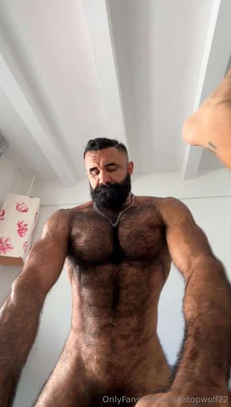alphatopwolf22 image #16