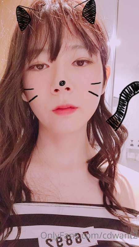 cdwant2 image #10