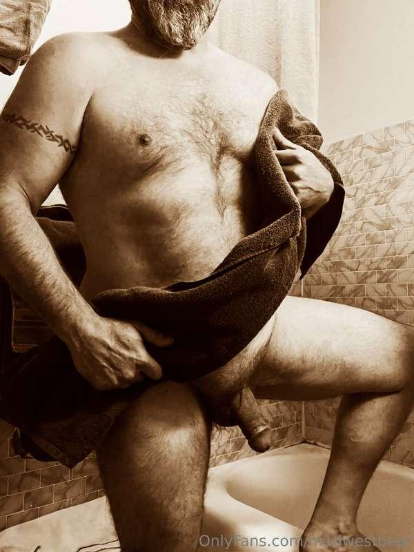 m1dwestbear image #9