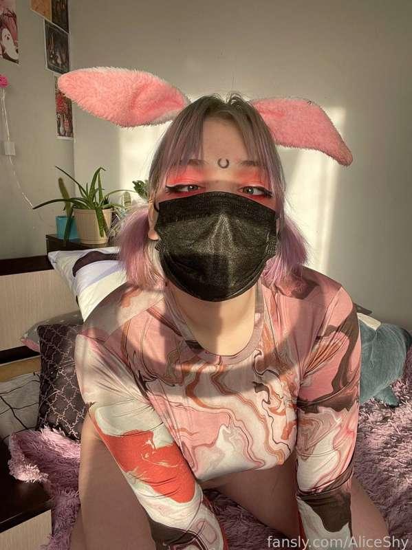 aliceshy image #0