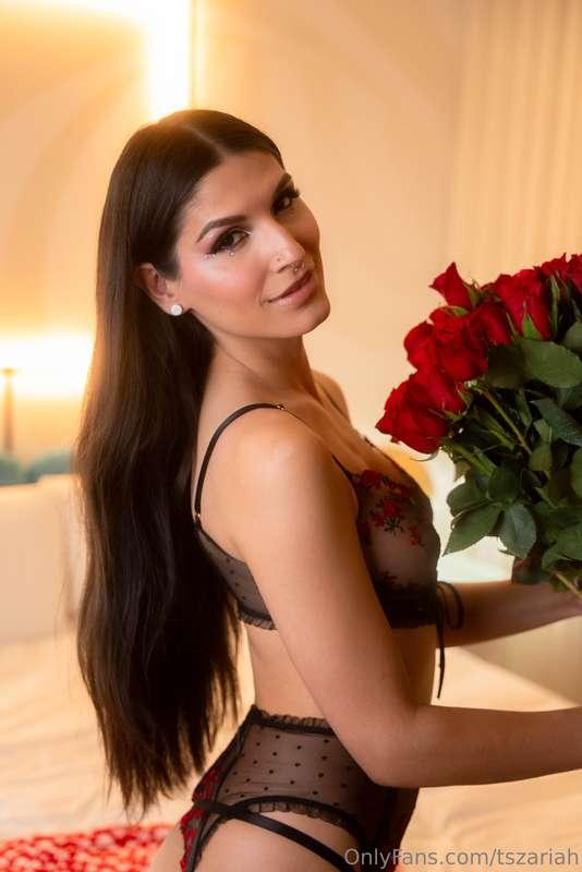 Roses are red… but I’m the real gift you’ve been craving 🌹