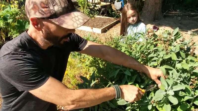 Garden Doings