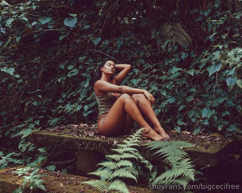 bigcecifree image #0