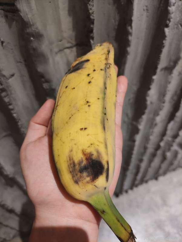 😳🍌 the bananas here! Guess what crossed my mind. 🤣