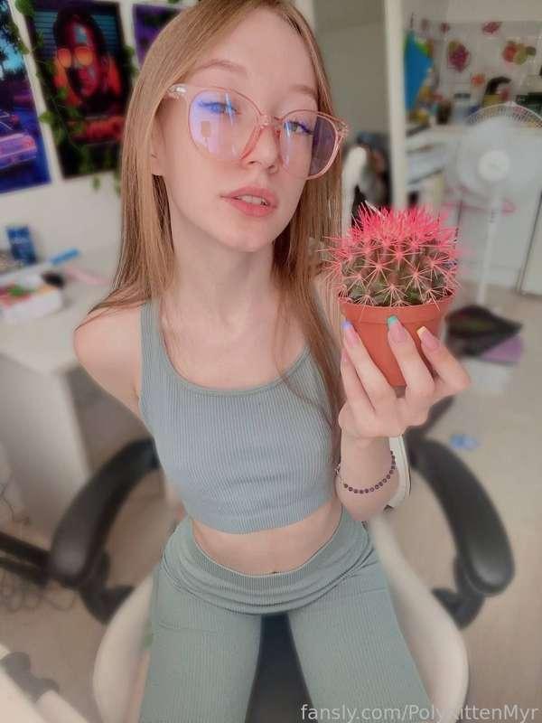 polykittenmyr image #1