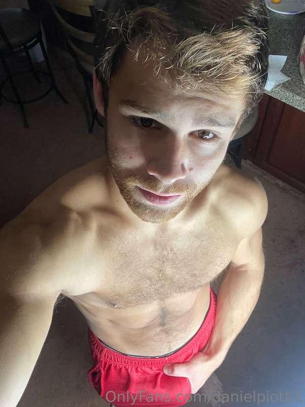 danielpiotti1 image #0