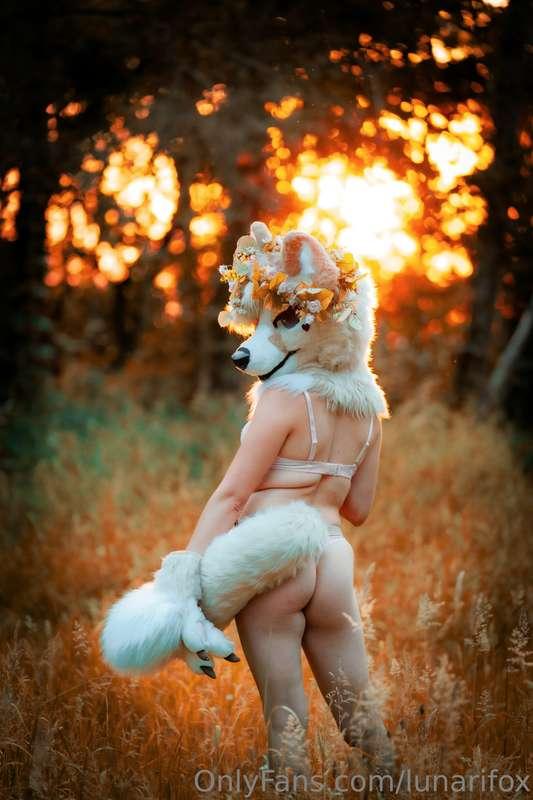 lunarifox image #2