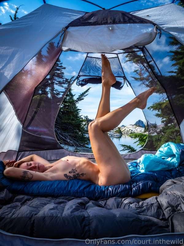 court.inthewild image #1