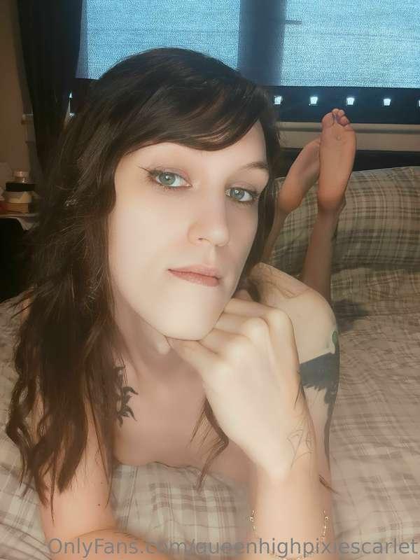 queenhighpixiescarlet image #9