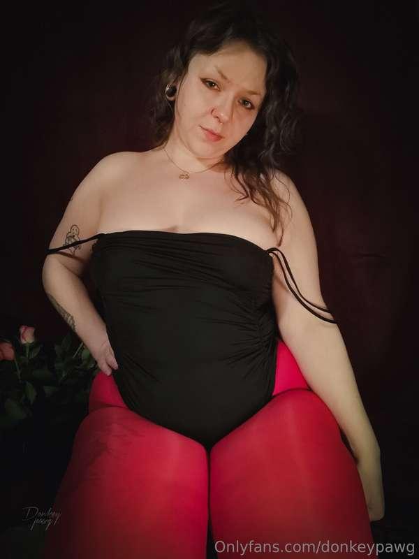 donkeypawg image #30