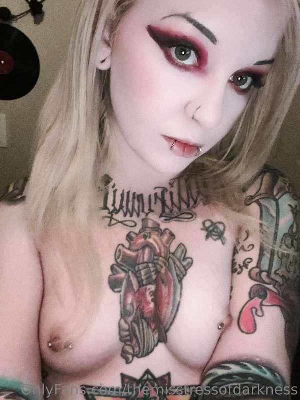 Evening little bats 🦇 🖤