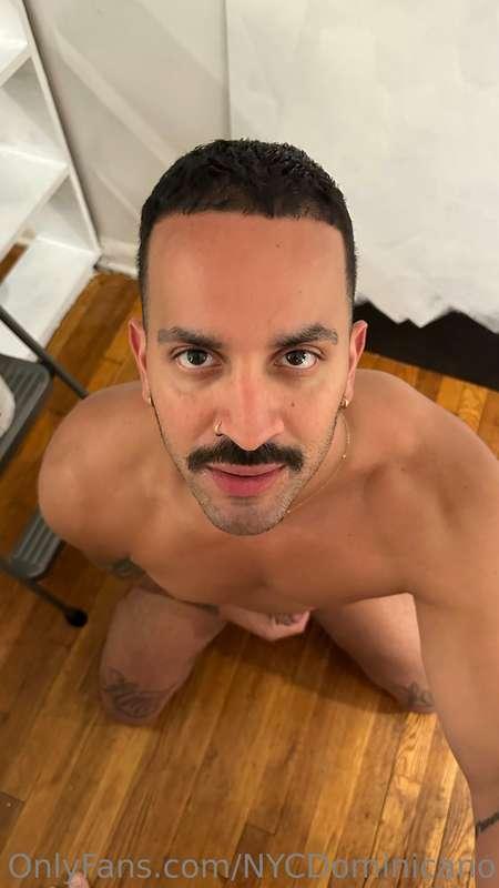 nycdominicano image #15