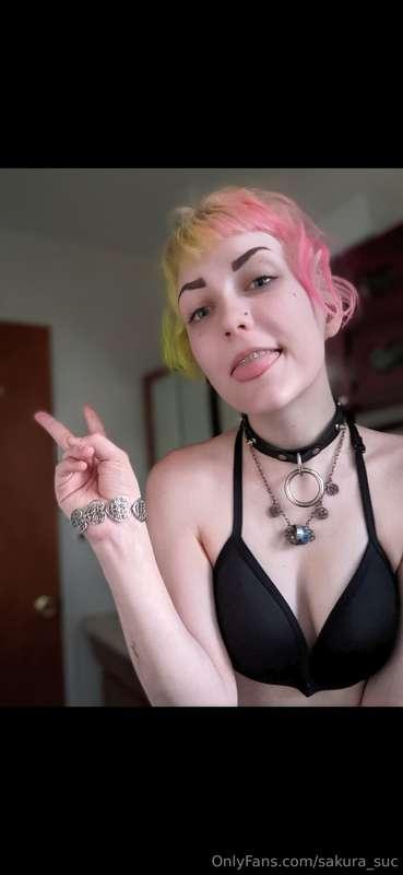 sakura_suc image #0