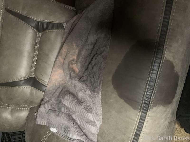 Putting down towels is fucking pointless