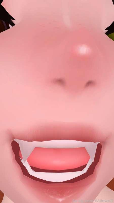 willowvr image #3