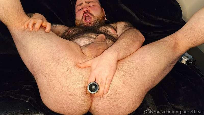 mrpocketbear image #14