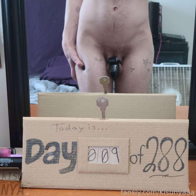 kisunyaaa image #2