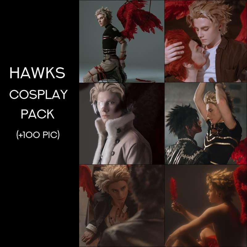Hawks Cosplay Pack