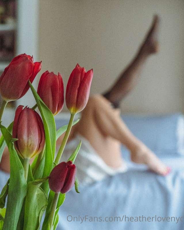 Tulips 🌷🌷🌷