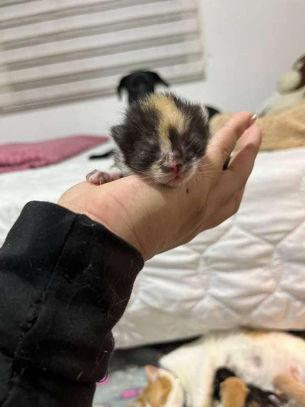 😻🙈