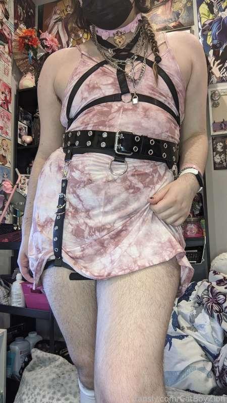 catboyzion image #3