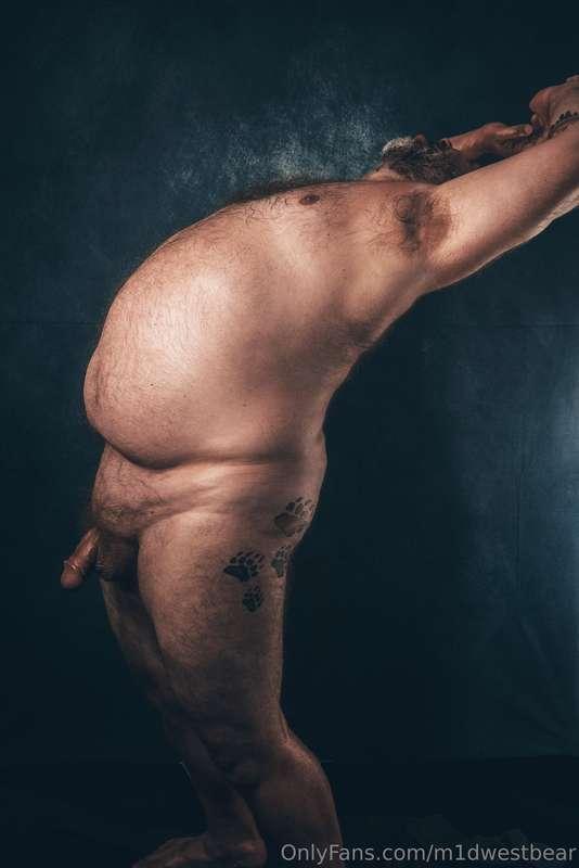 m1dwestbear image #6