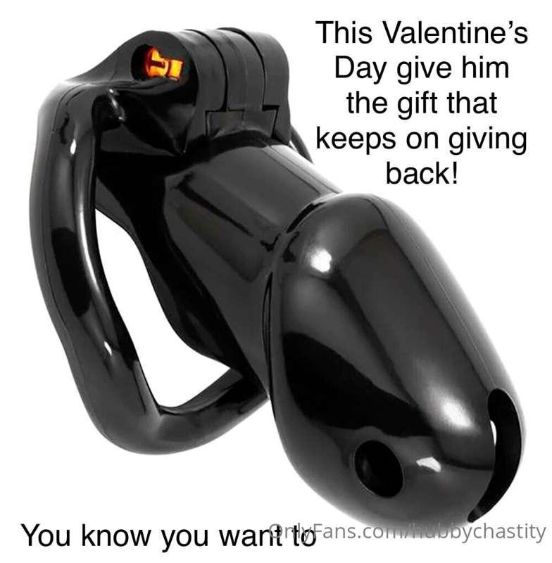 hubbychastity image #0