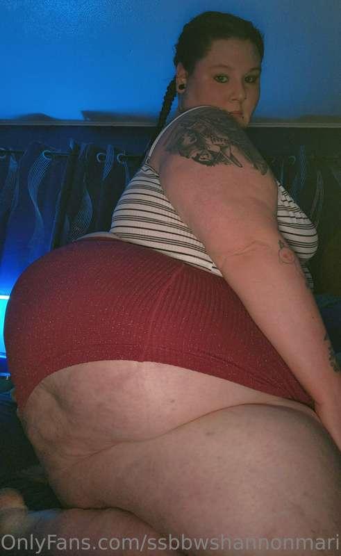 ssbbwshannonmarie image #0