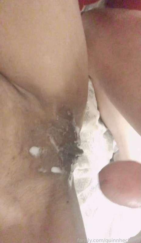 quinnhechhka image #2