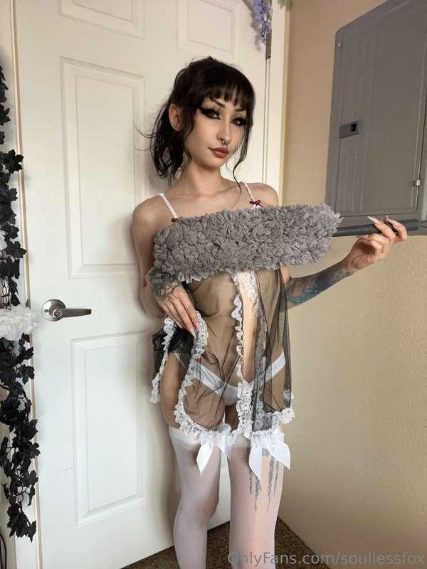 soullessfox main image